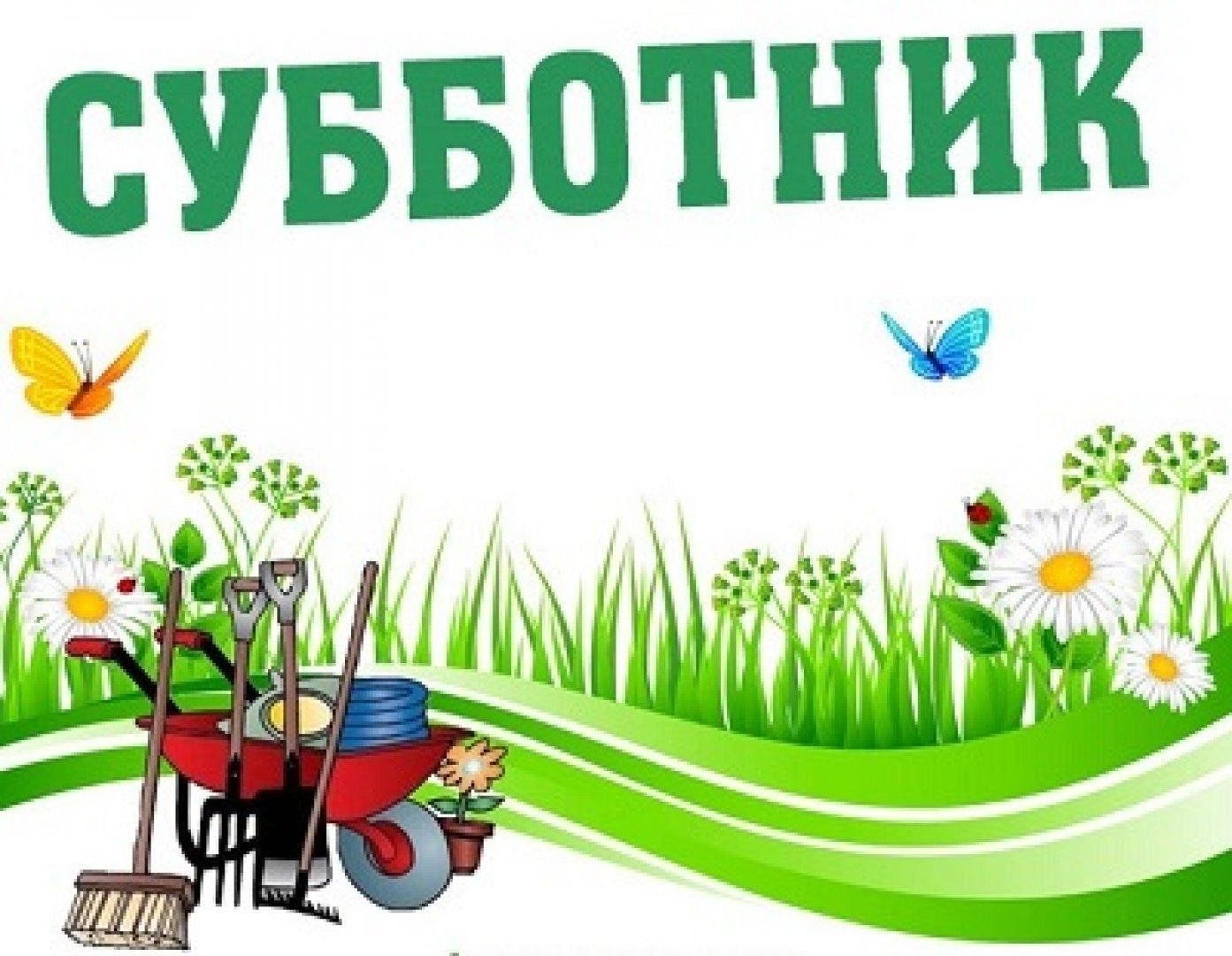 Чистый город — дело каждого!.